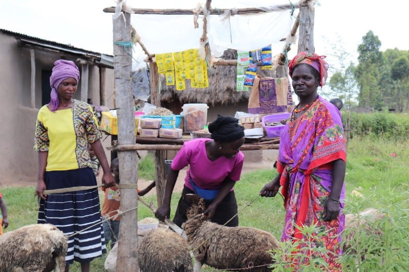 Village Enterprise business owners Monica Sitienei, Caroline Simiyu, and Lomeyen Kerio stand in front of their kiosk with their sheep.