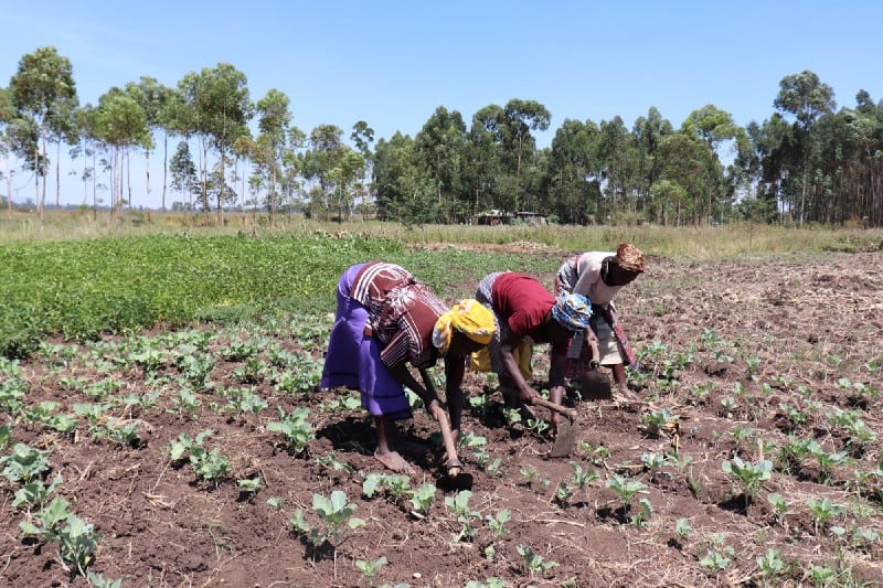 Village Enterprise business owners farming