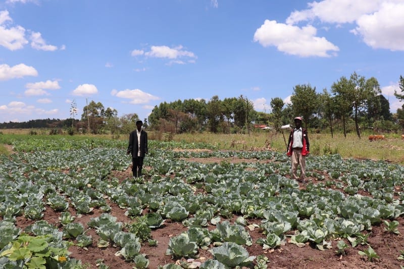 Village Enterprise business owners Esokori Etabo and Marko Ewoi in their cabbage patch.