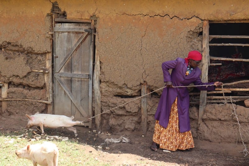 Village Enterprise business owner Florence Jeptekei and her pigs