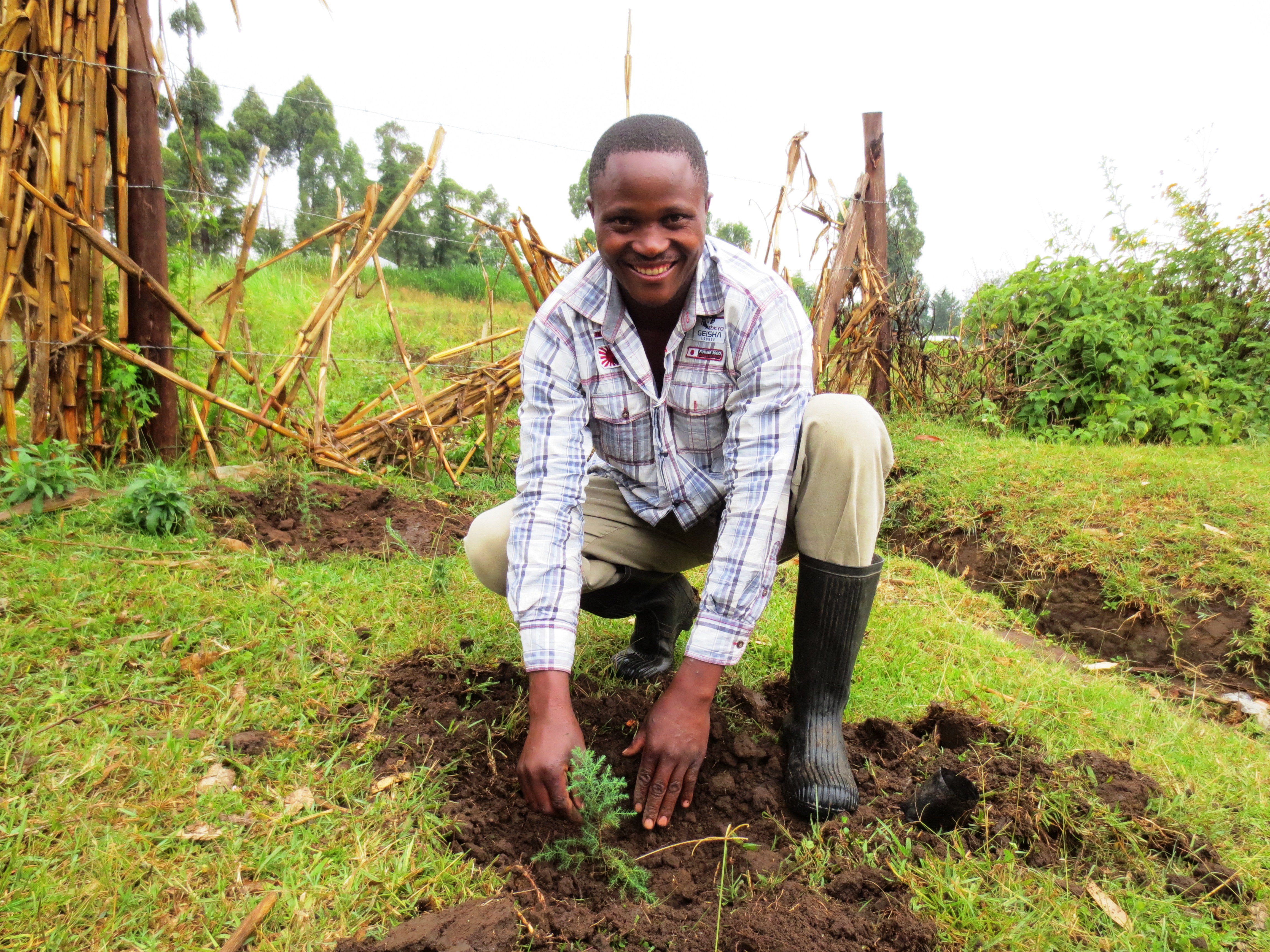 Village Enterprise Business Savings Group member Douglas Omoa plants a tree in Gidea, Kenya.