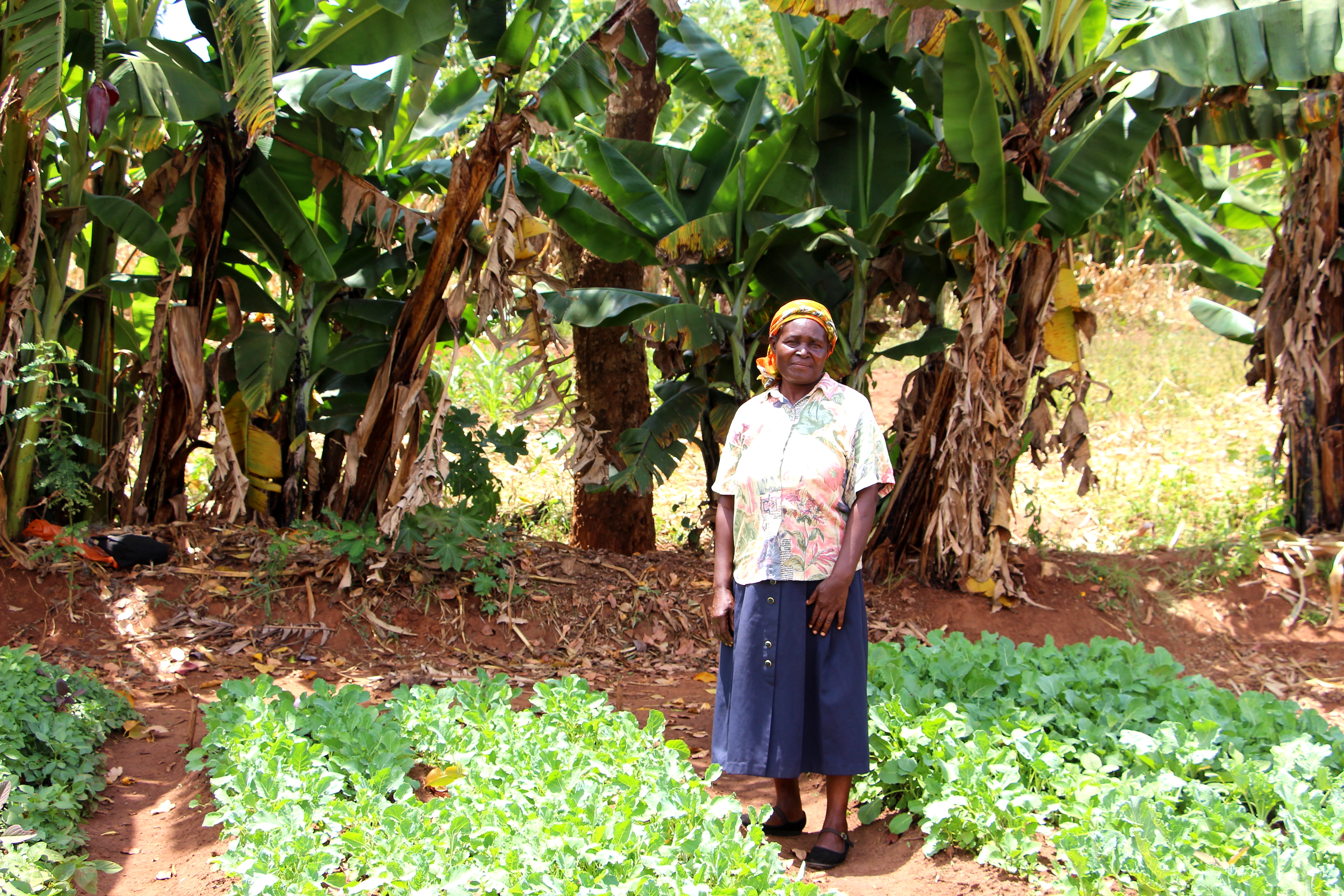 Village Enterprise business owner Rose Naliaka Masika with her vegetable crops