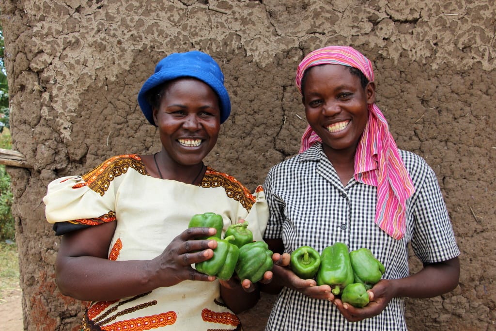 Beatrice Nabwera and Halima Wanyonyi holding peppers