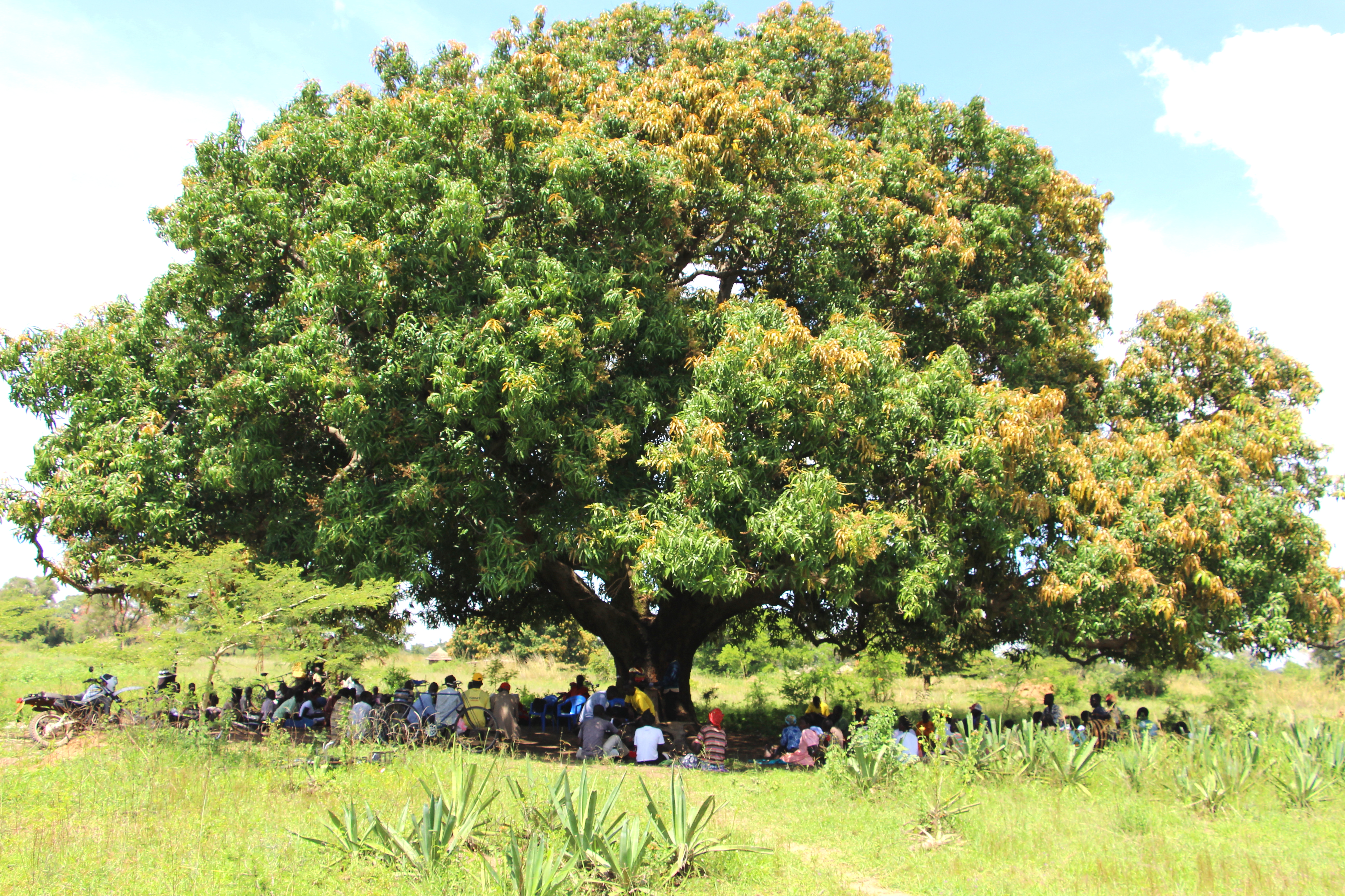 Village Enterprise Business Owners under a tree in Akisim, Uganda.