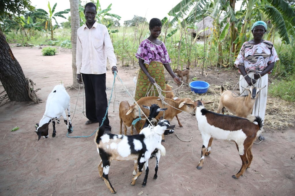 Village Enterprise business owner Matilda Aanyo and her goats