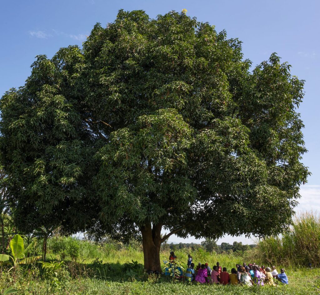 People sitting under tree