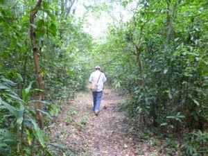 Conservation Education- Changing Practices in The Kisere Forest