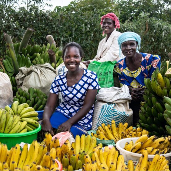 Women with banana harvest