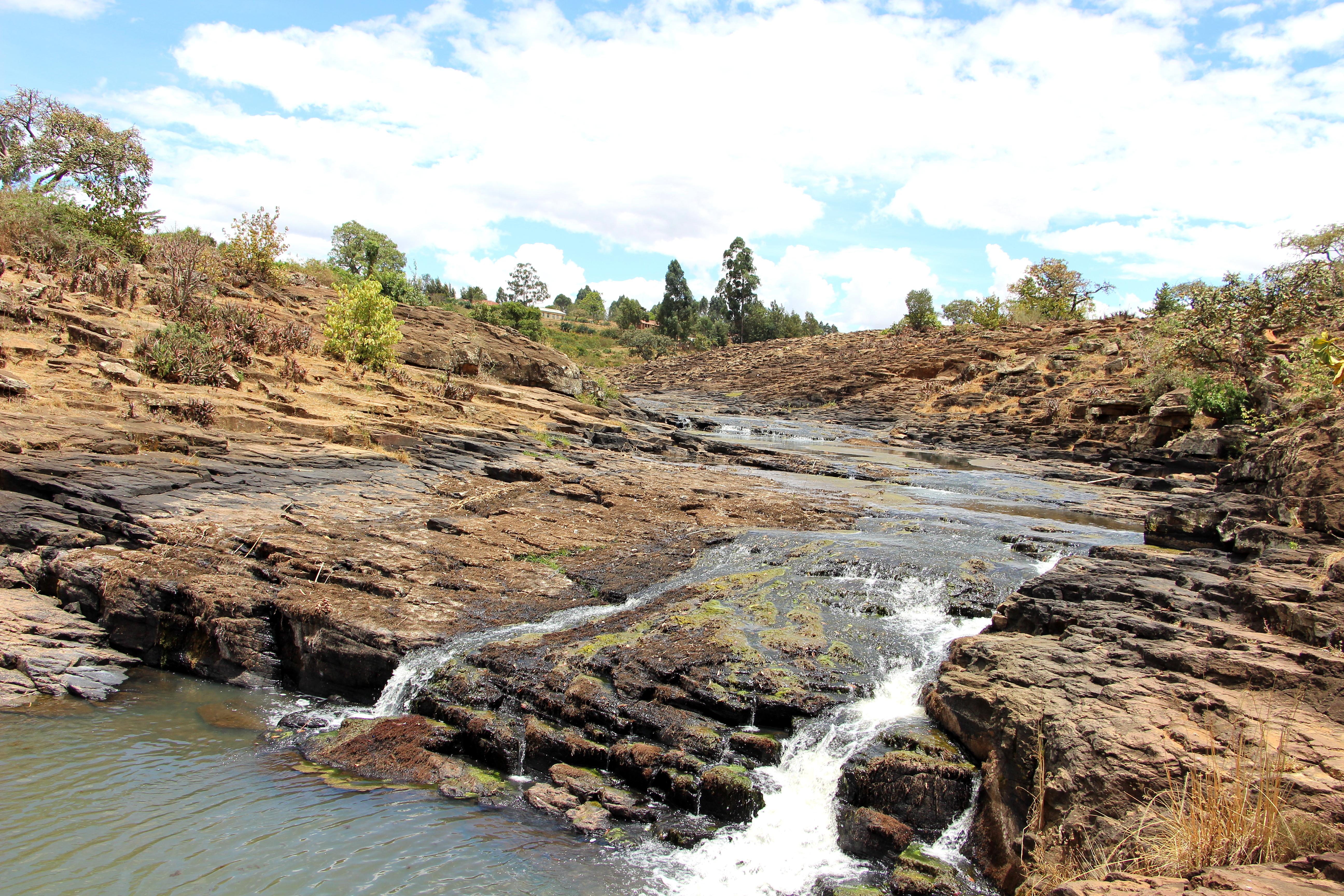 A river Soy, Kenya