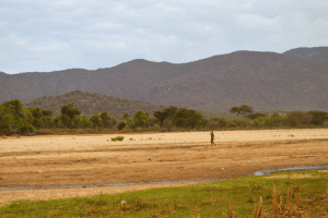 How Female Farmers in West Pokot are Building Resilience to Climate Change